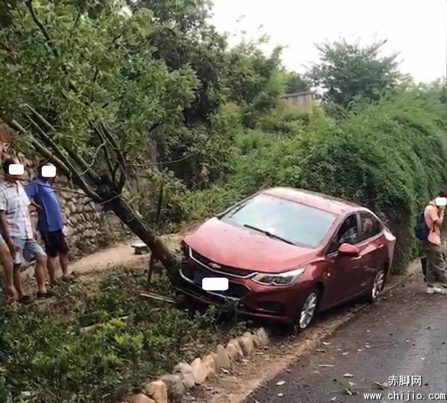向阳坡小车撞进绿化带_20190806114758.JPG