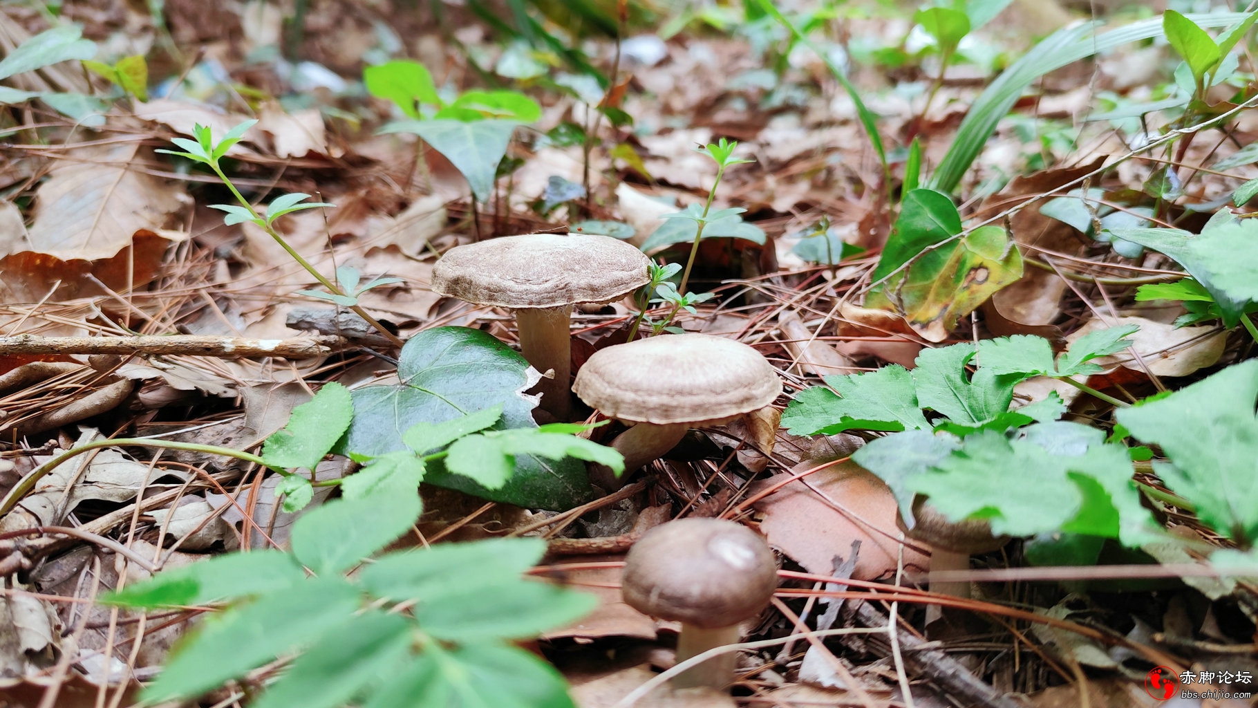 望家 (3)_副本.jpg