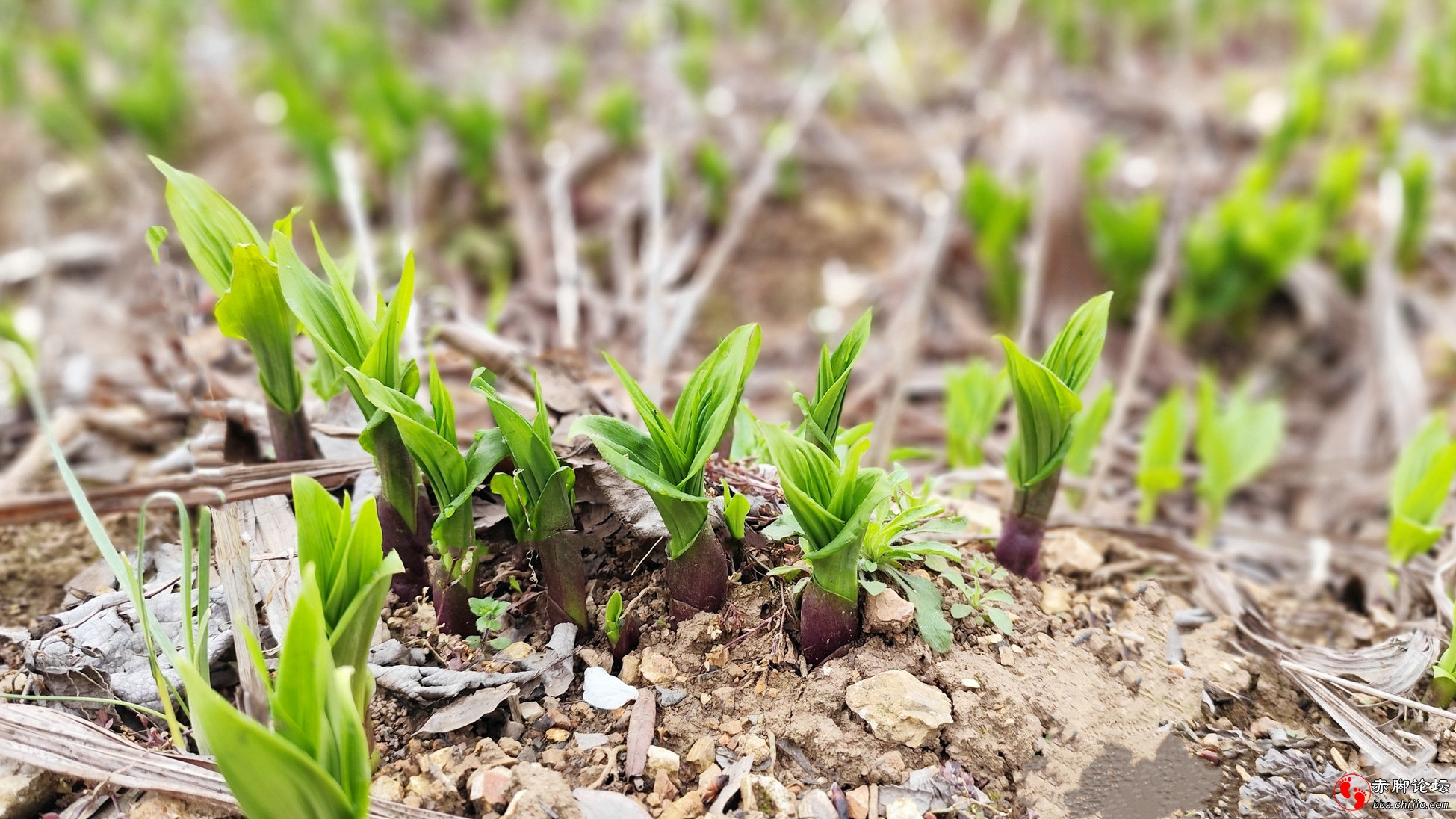 望家 (4)_副本.jpg