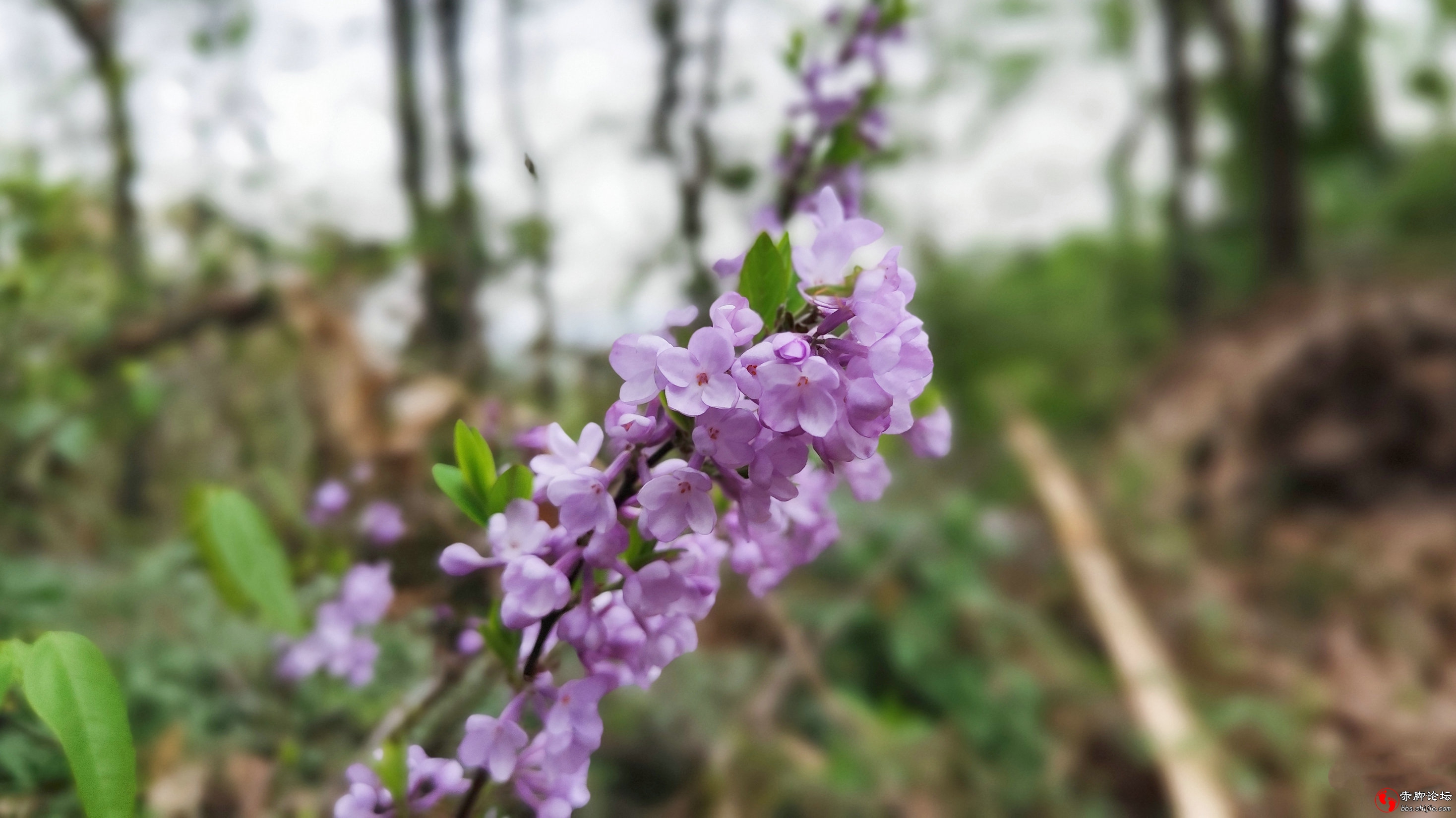 望家 (10)_副本.jpg