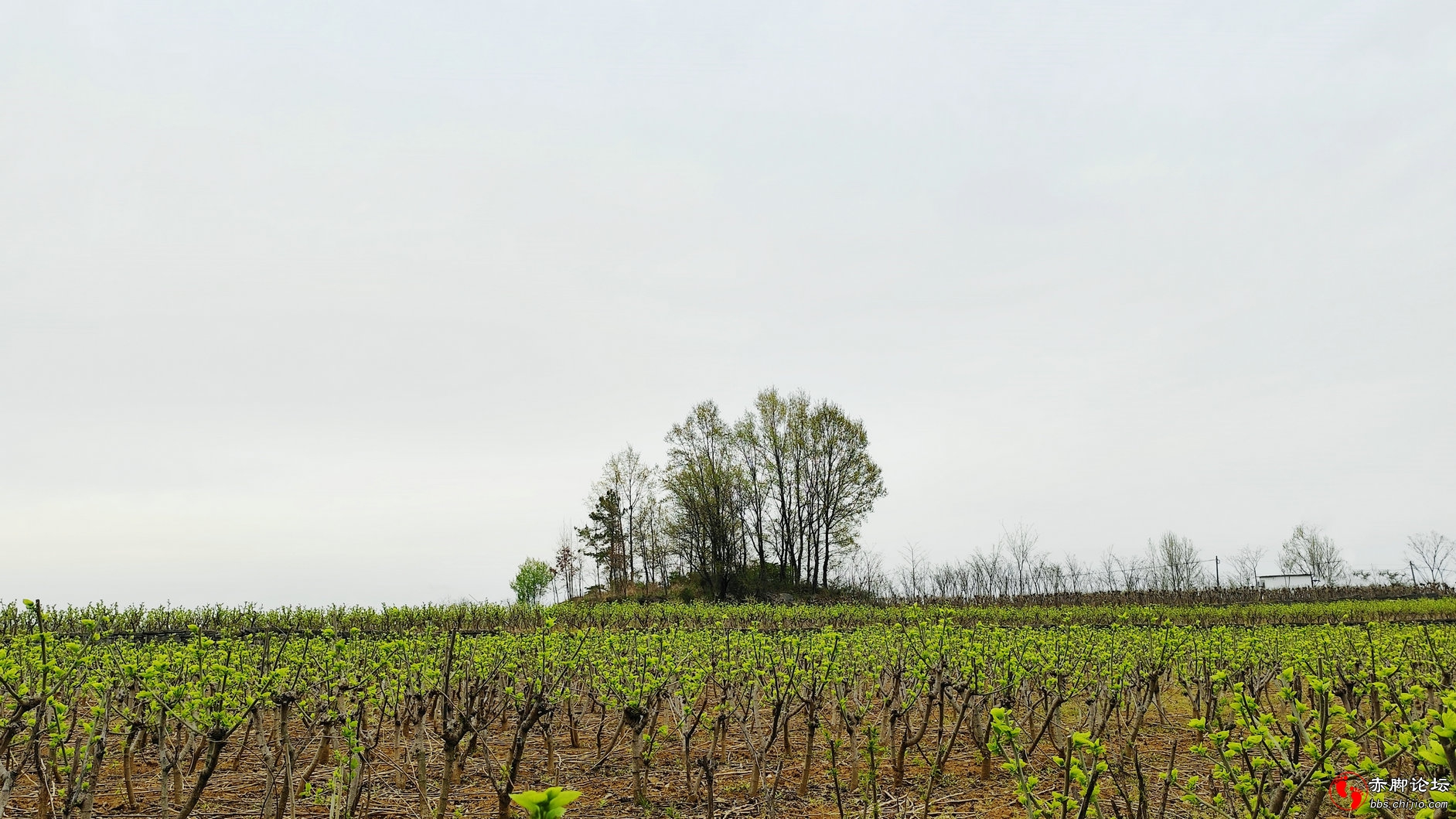 望家 (9)_副本.jpg