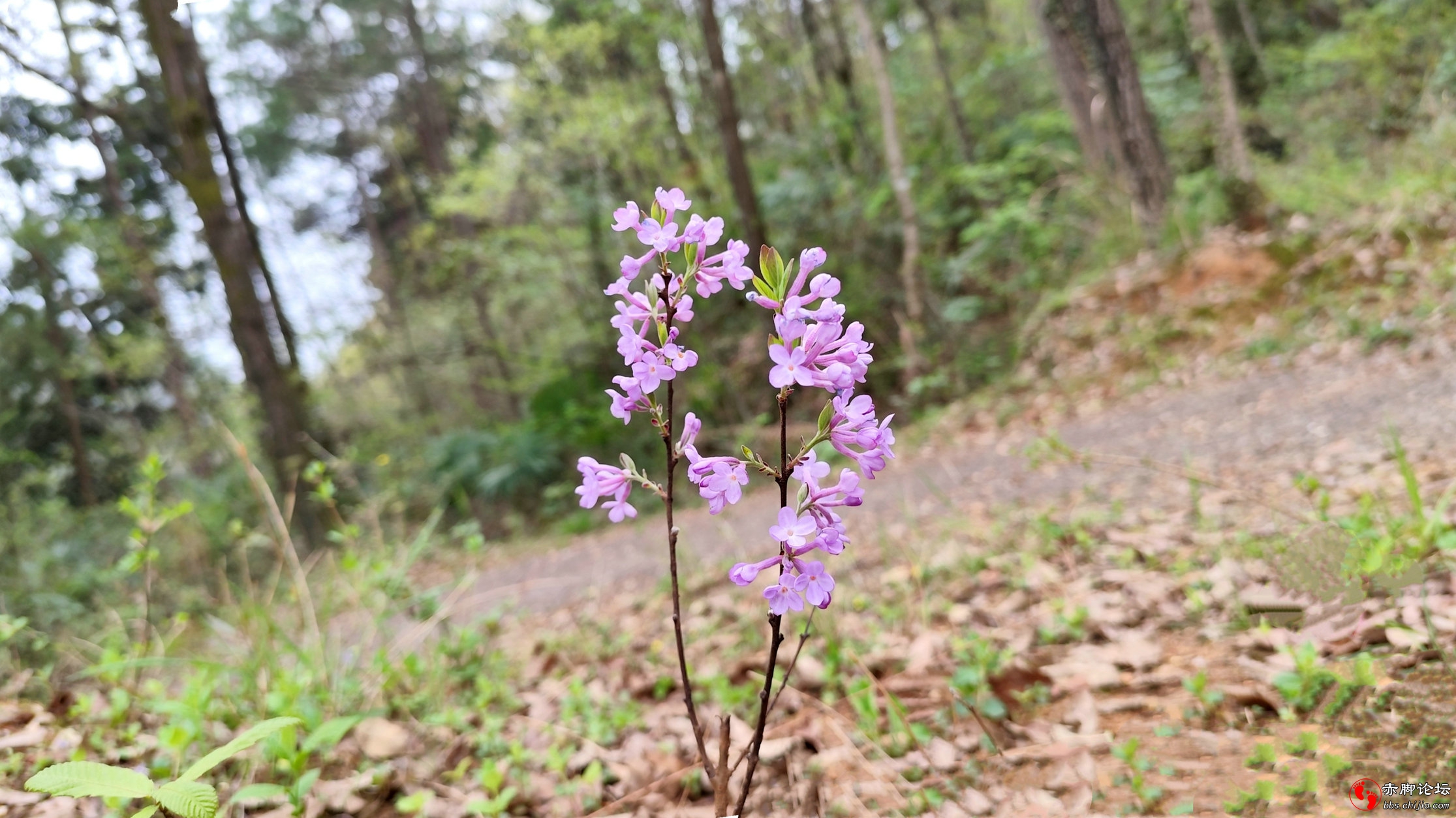 望家 (12)_副本.jpg