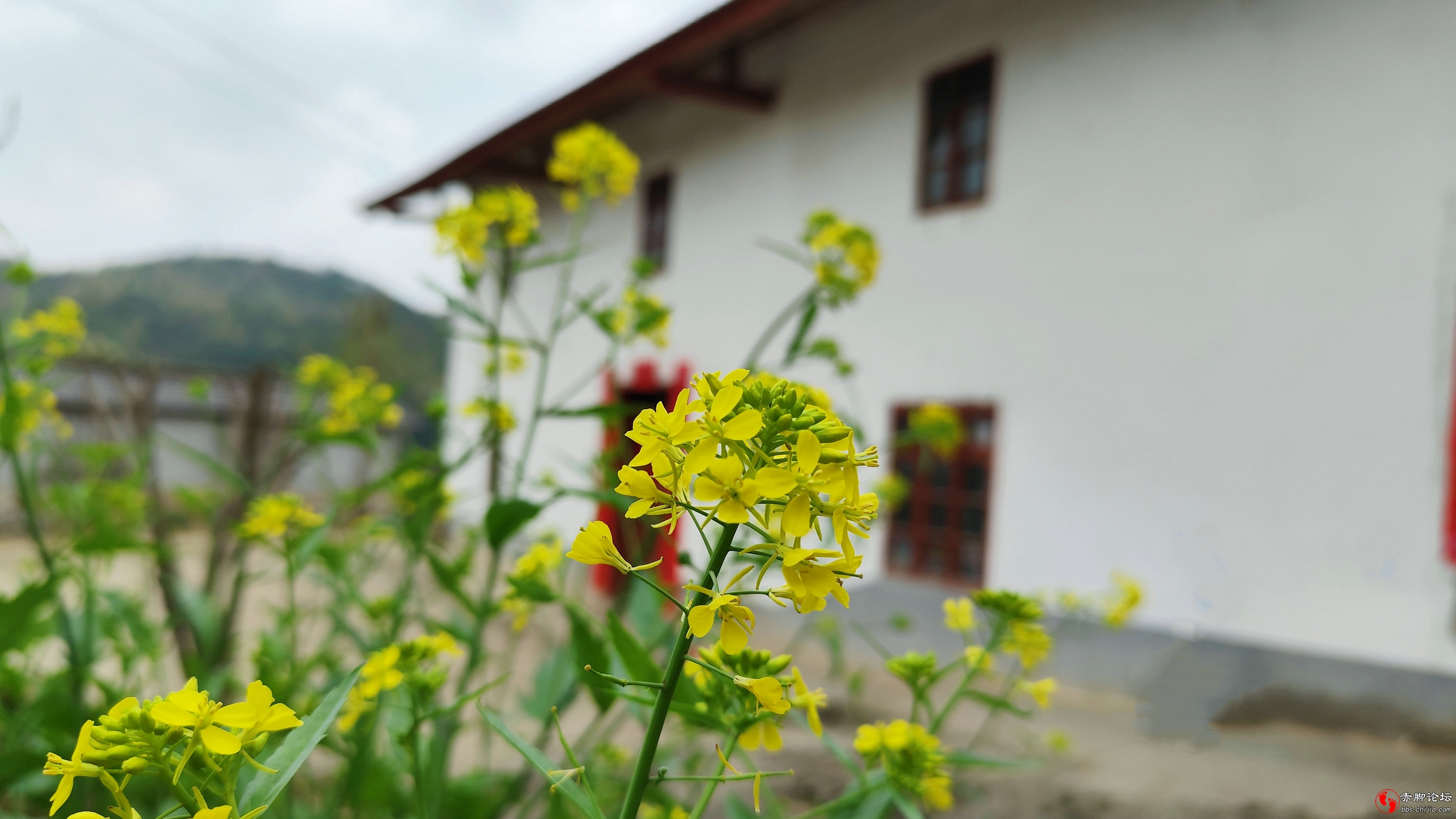 望家 (13)_副本.jpg