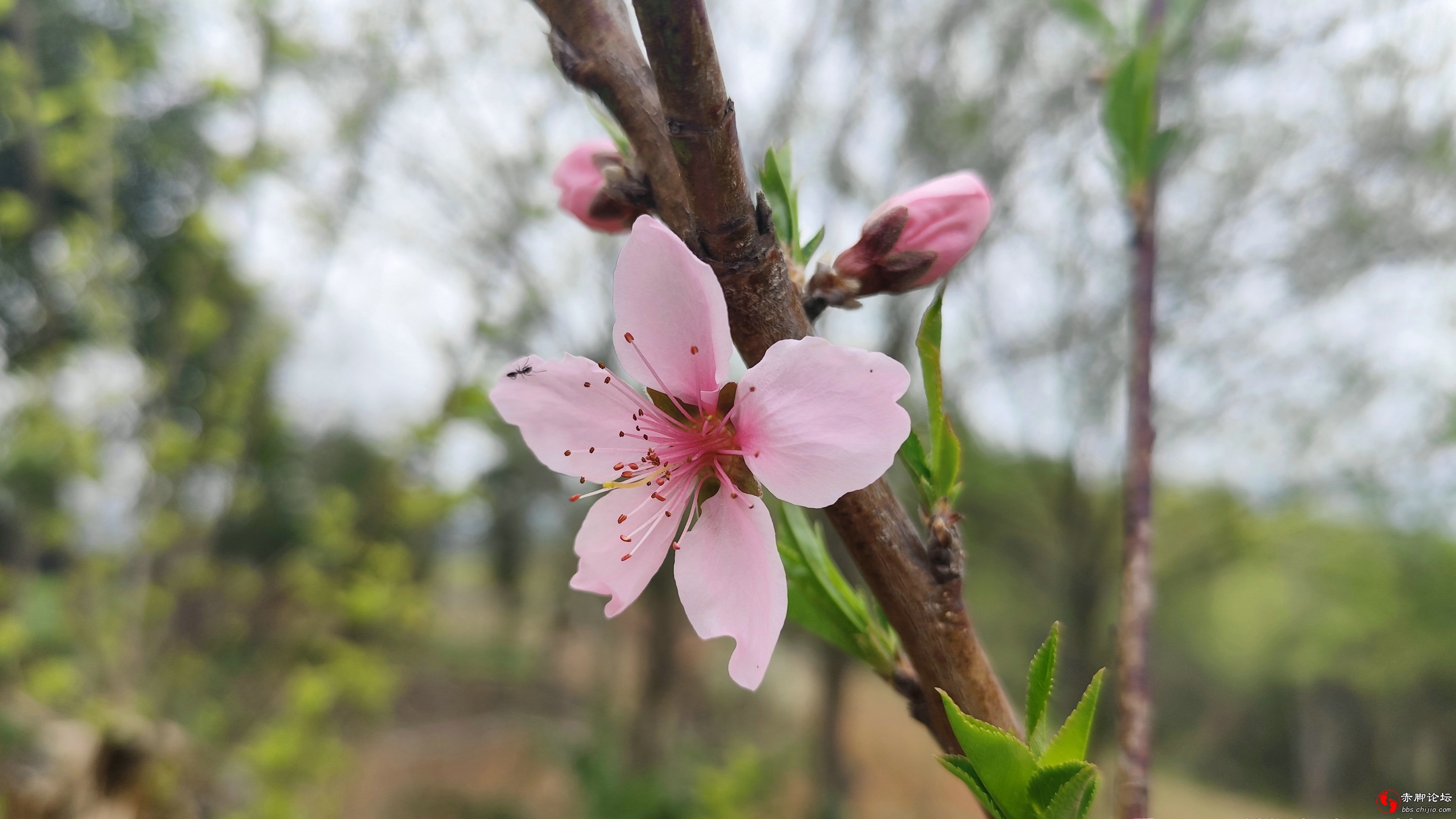 望家 (14)_副本.jpg