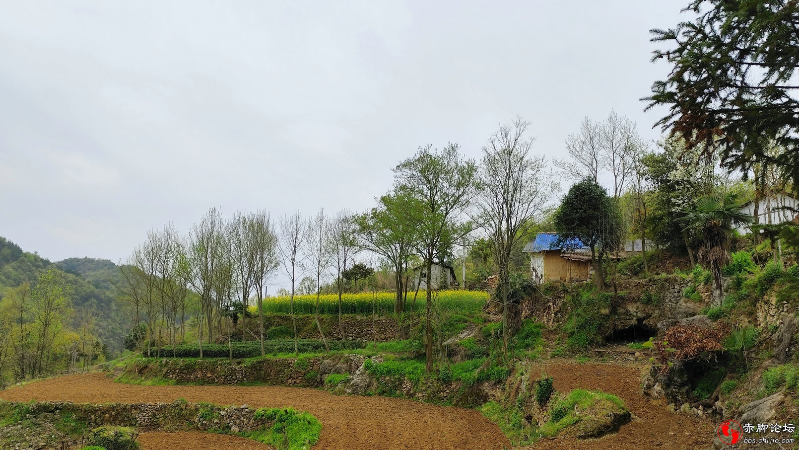 望家 (15)_副本.jpg