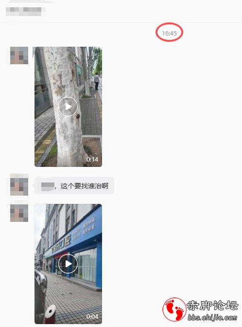 009.jpg
