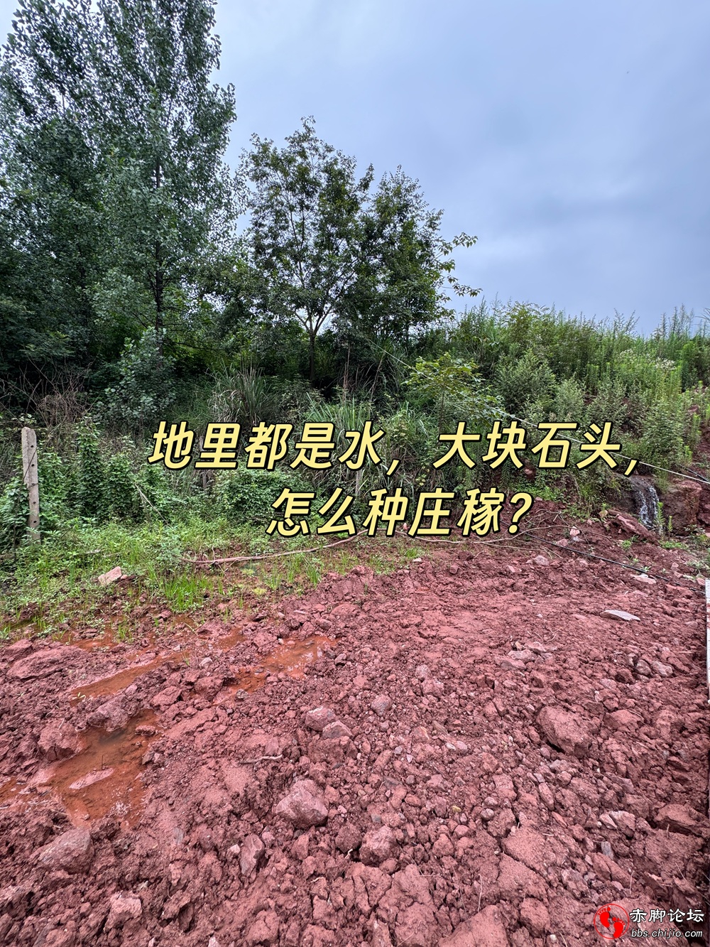 02.jpg